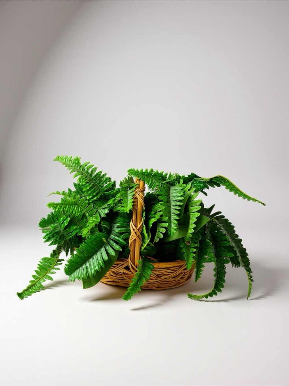 Faux Green Decorative Fern Basket - Home Accents